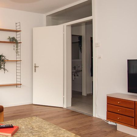 Spacious Apartment Next To Rhine Bazel Buitenkant foto