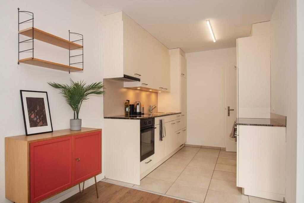 Spacious Apartment Next To Rhine Bazel Buitenkant foto